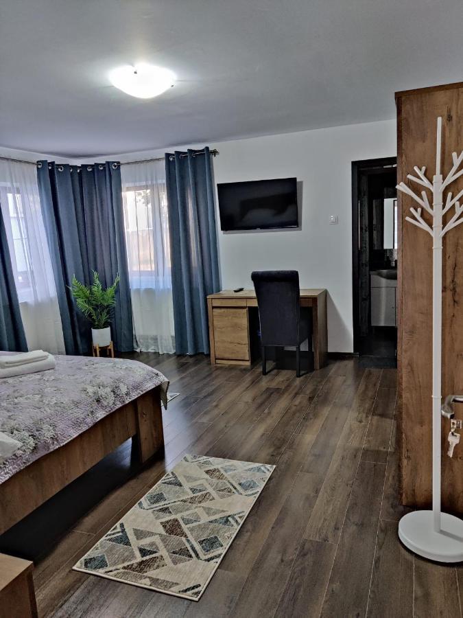 Casa Marina Guest House Călimăneşti Bagian luar foto
